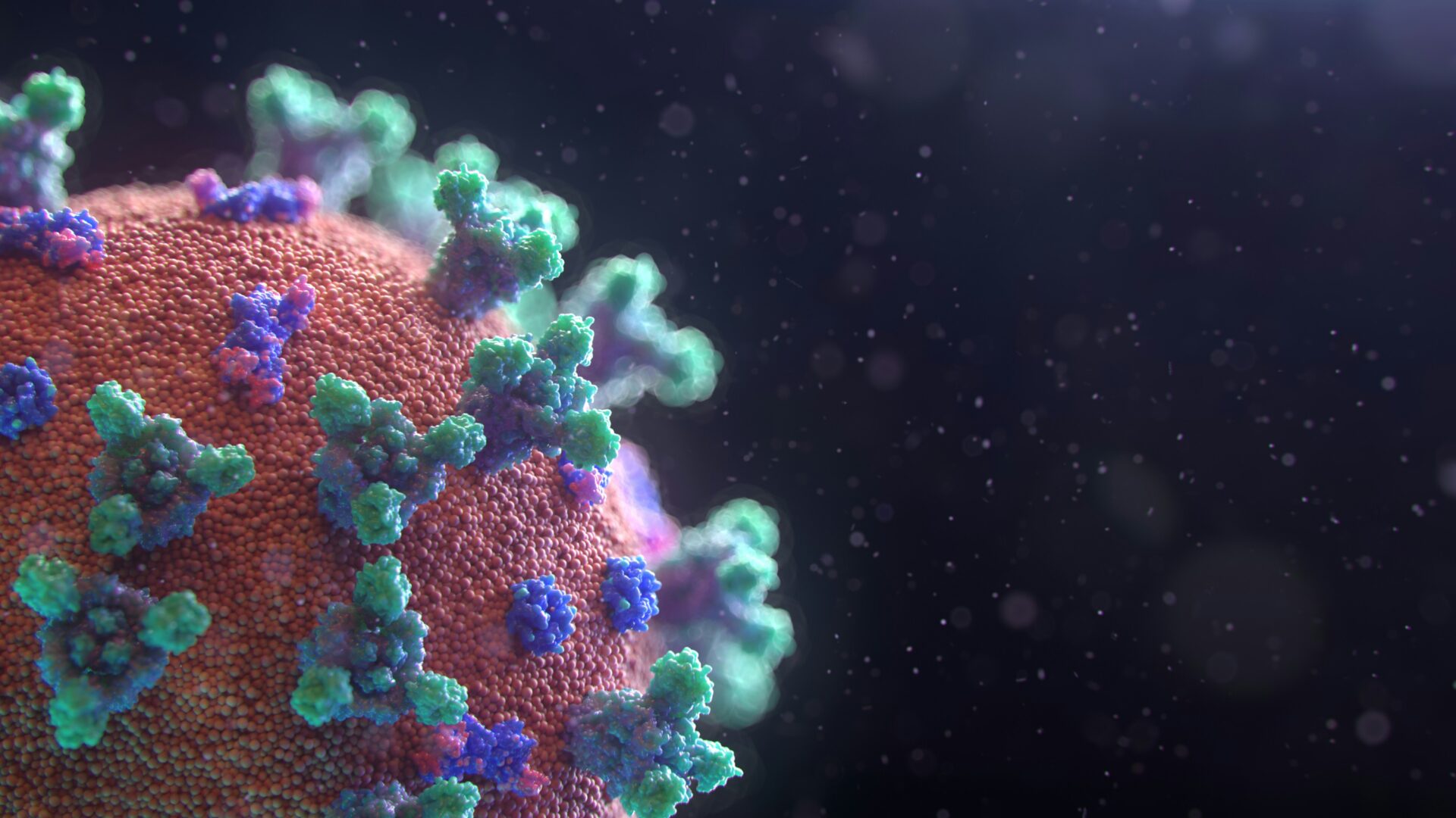 What are the dangers of drinking contaminated Water? Virus inside a void.