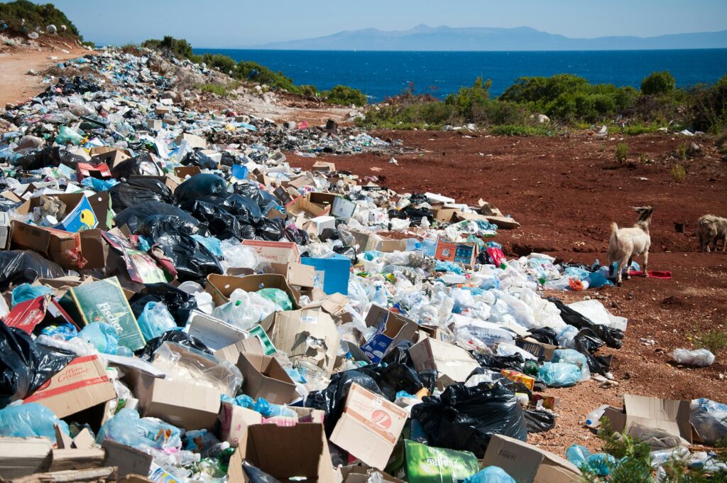 Environmental Issues with Water ContaminationWaste and landfill present in a desert, featuring a goat