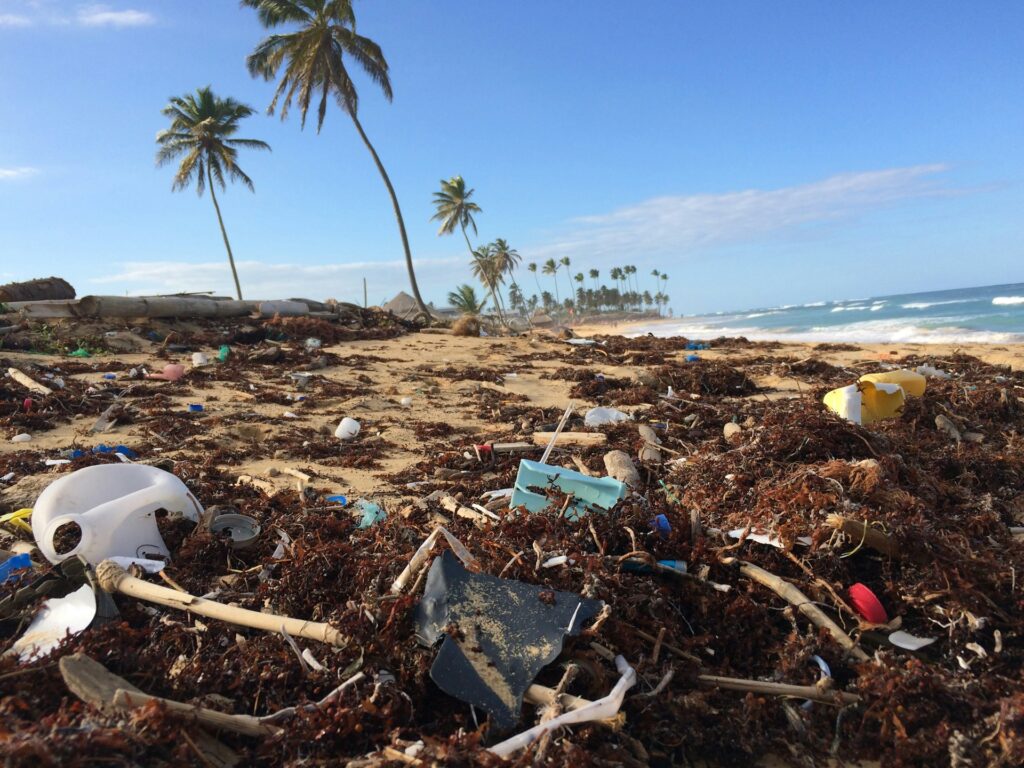 How Environmental Pollution Impacts Water