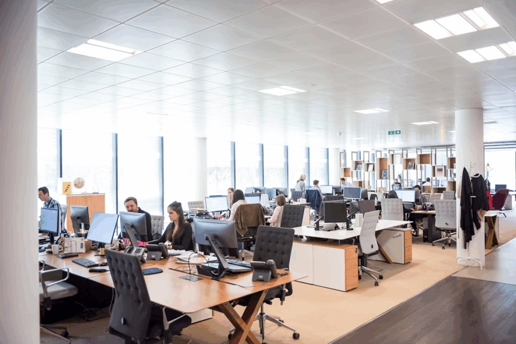 Workplace Cultural Differences